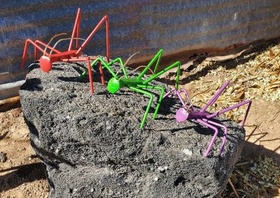 Jiminy crickets in color - Kevin Caron