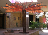 The Mighty Owl Oak, installed at Litchfield Park Elementary School