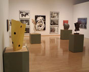 Contemporary Forum auction preview at the Phoenix Art Museum